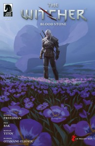 WITCHER: BLOOD STONE #1 (CVR C) (AXEL SAUERWALD)