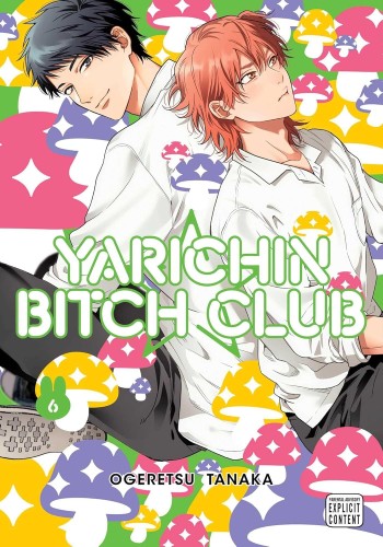 YARICHIN BITCH CLUB VOL 06 GN (9781974761296)