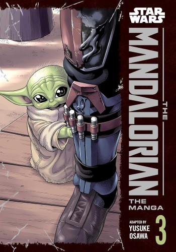 STAR WARS: MANDALORIAN VOL 03 GN (9781974760978)