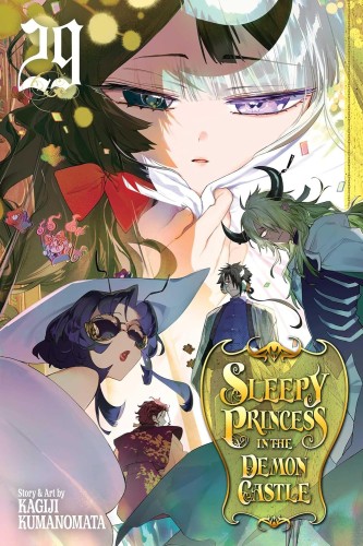 SLEEPY PRINCESS VOL 29 GN (9781974761616)