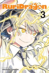 RURIDRAGON VOL 03 GN