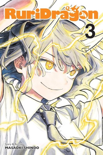 RURIDRAGON VOL 03 GN (9781974762293)