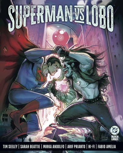 Superman kontra Lobo (9788328173194)