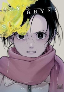 BOY'S ABYSS VOL 12 GN