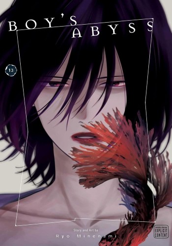 BOY'S ABYSS VOL 13 GN (9781974762576)