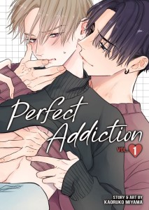PERFECT ADDICTION VOL 01 TP