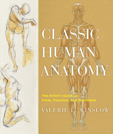 CLASSIC HUMAN ANATOMY The Artist's Guide to Form, Function, and Movement (9780823024155)