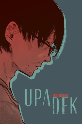 Upadek (9788367386999)