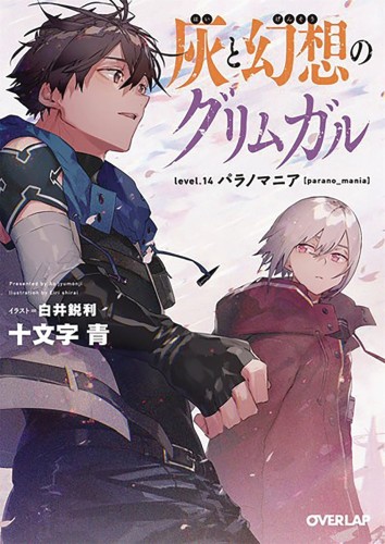 GRIMGAR OF FANTASY & ASH LIGHT NOVEL 14 (9781645057482)