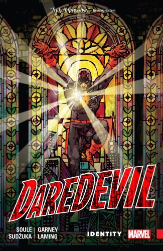 DAREDEVIL BACK IN BLACK TP VOL 04 IDENTITY (9781302905620)