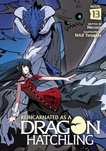 REINCARNATED AS A DRAGON HATCHLING (LIGHT NOVEL) VOL 13 TP (9798897654529)