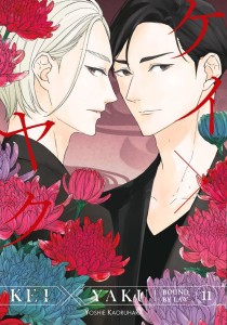 KEI X YAKU: BOUND BY LAW VOL 11 TP