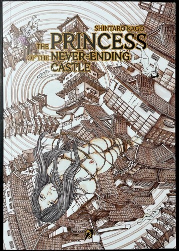 The Princess of the Never-ending Castle (9791256900824)