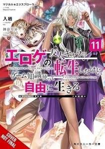 MAGICAL EXPLORER LIGHT NOVEL VOL 11