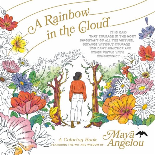 A RAINBOW IN THE CLOUD TP (9780593581766)