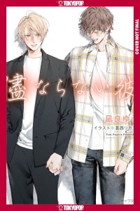 MY UNCONTROLLABLE MAN, VOL 04 (LIGHT NOVEL) (MY BEAUTIFUL MAN (LIGHT NOVEL)) TP
