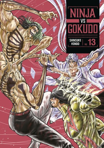 NINJA VS. GOKUDO 13 TP (9798888774540)