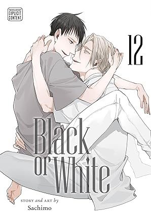 BLACK OR WHITE VOL 12 GN (9781974762606)