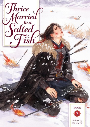 THRICE MARRIED TO A SALTED FISH (NOVEL) VOL 03 (9798895610978)