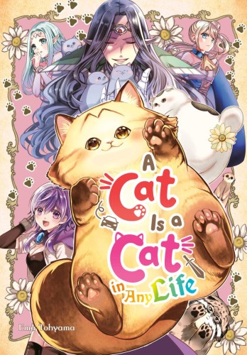 A CAT IS A CAT IN ANY LIFE TP (9781646094714)