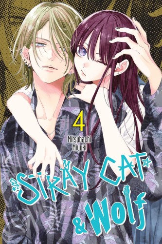 STRAY CAT & WOLF GN VOL 04 (9781975398231)