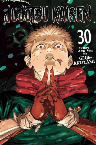 JUJUTSU KAISEN GN VOL 30 (9781974763405)