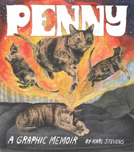 PENNY A GRAPHIC MEMOIR TP (9781452183053)