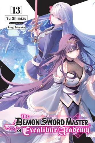 DEMON SWORD MASTER EXCALIBUR ACADEMY LN VOL 13 (9798855407457)