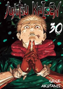 Jujutsu kaisen tom 30