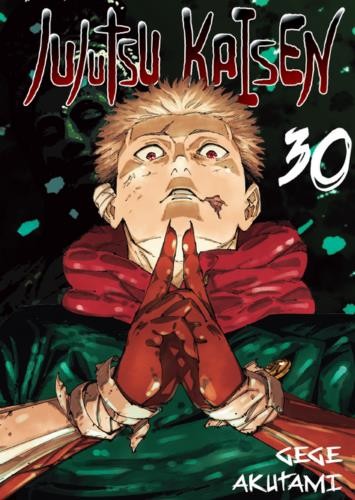 Jujutsu kaisen tom 30 (9788383891774)