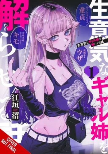 HOW TO HANDLE MY SASSY BIG SIS TP VOL 01 (9798855429039)