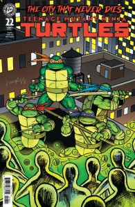 TEENAGE MUTANT NINJA TURTLES #22 VARIANT D (RUGG)