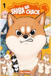 Shiba na chacie #1
