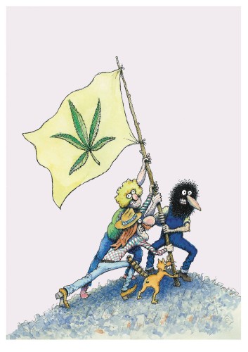 FIFTY FREAKIN YEARS OF FREAK BROTHERS TP (KNOCKABOUT) (9780861662616)