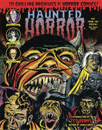 HAUNTED HORROR HC CRY FROM THE COFFIN (9781684051755)