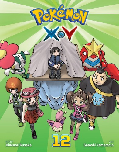 POKEMON XY GN VOL 12 (9781421596259)