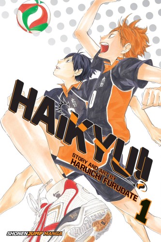 HAIKYU GN VOL 01 (9781421587660)