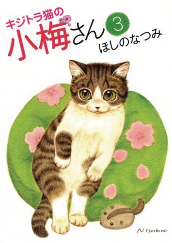 PLUM CRAZY TALES OF TIGER STRIPED CAT GN VOL 03 (9781626925823)