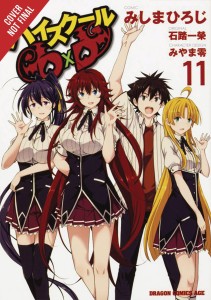 HIGH SCHOOL DXD GN VOL 11
