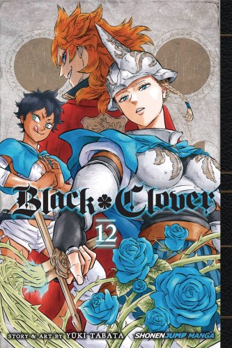 BLACK CLOVER GN VOL 12 (9781974700400)