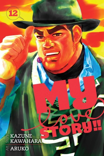 MY LOVE STORY GN VOL 12 (9781421592145)