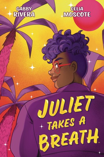 JULIET TAKES A BREATH ORIGINAL GN (9781684156115)