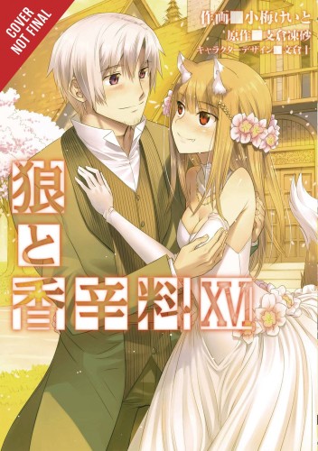 SPICE AND WOLF GN VOL 16 (9781975327996)