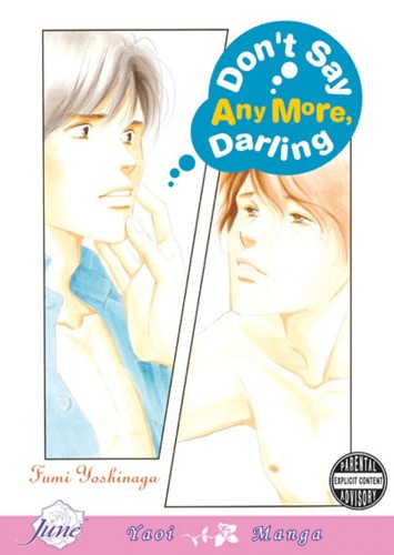 DONT SAY ANYMORE DARLING GN (9781569707999)