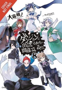 IS IT WRONG TRY PICK UP GIRLS IN DUNGEON NOVEL 08