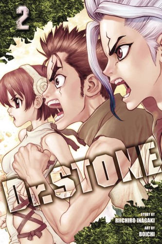 DR STONE GN VOL 02 (9781974702626)