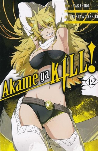 AKAME GA KILL GN VOL 12 (9780316473323)