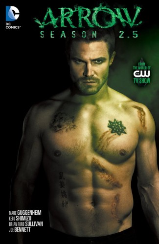 ARROW SEASON 2.5 TP (9781401257484)