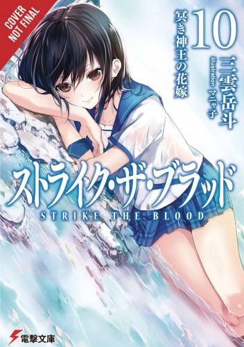 STRIKE THE BLOOD LIGHT NOVEL SC VOL 10 (9780316442121)