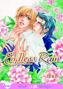 ENDLESS RAIN GN